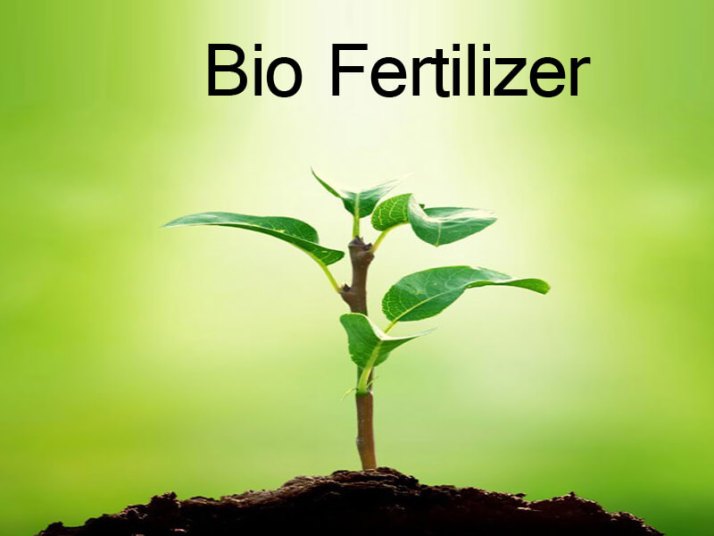 BIO Fertlizer